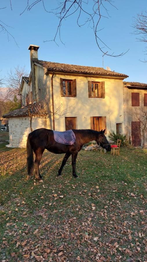 La Caneveta Al Piave Valdobbiadene Extérieur photo
