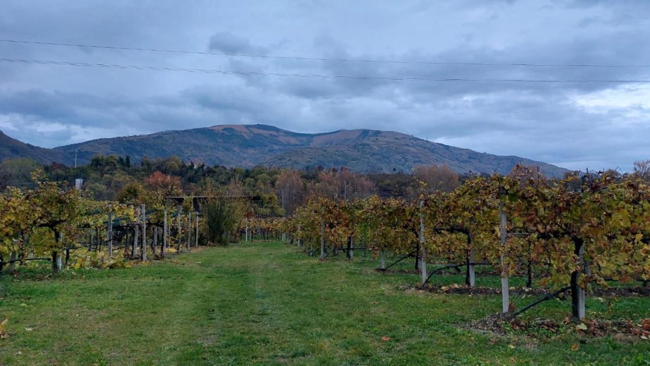 La Caneveta Al Piave Valdobbiadene Extérieur photo