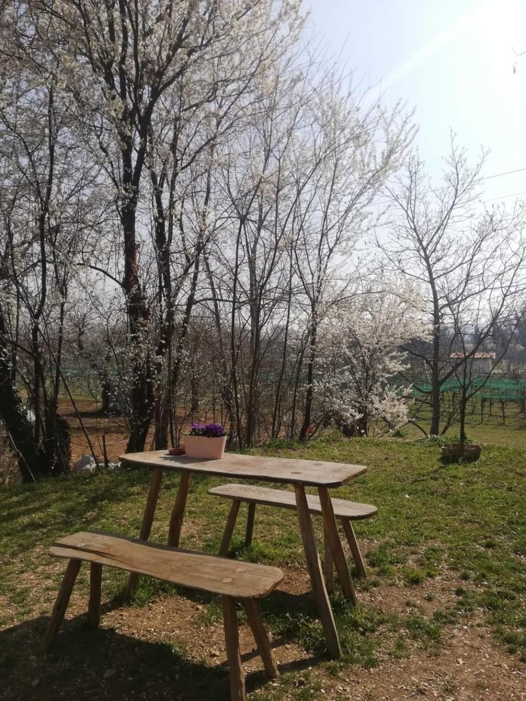 La Caneveta Al Piave Valdobbiadene Extérieur photo